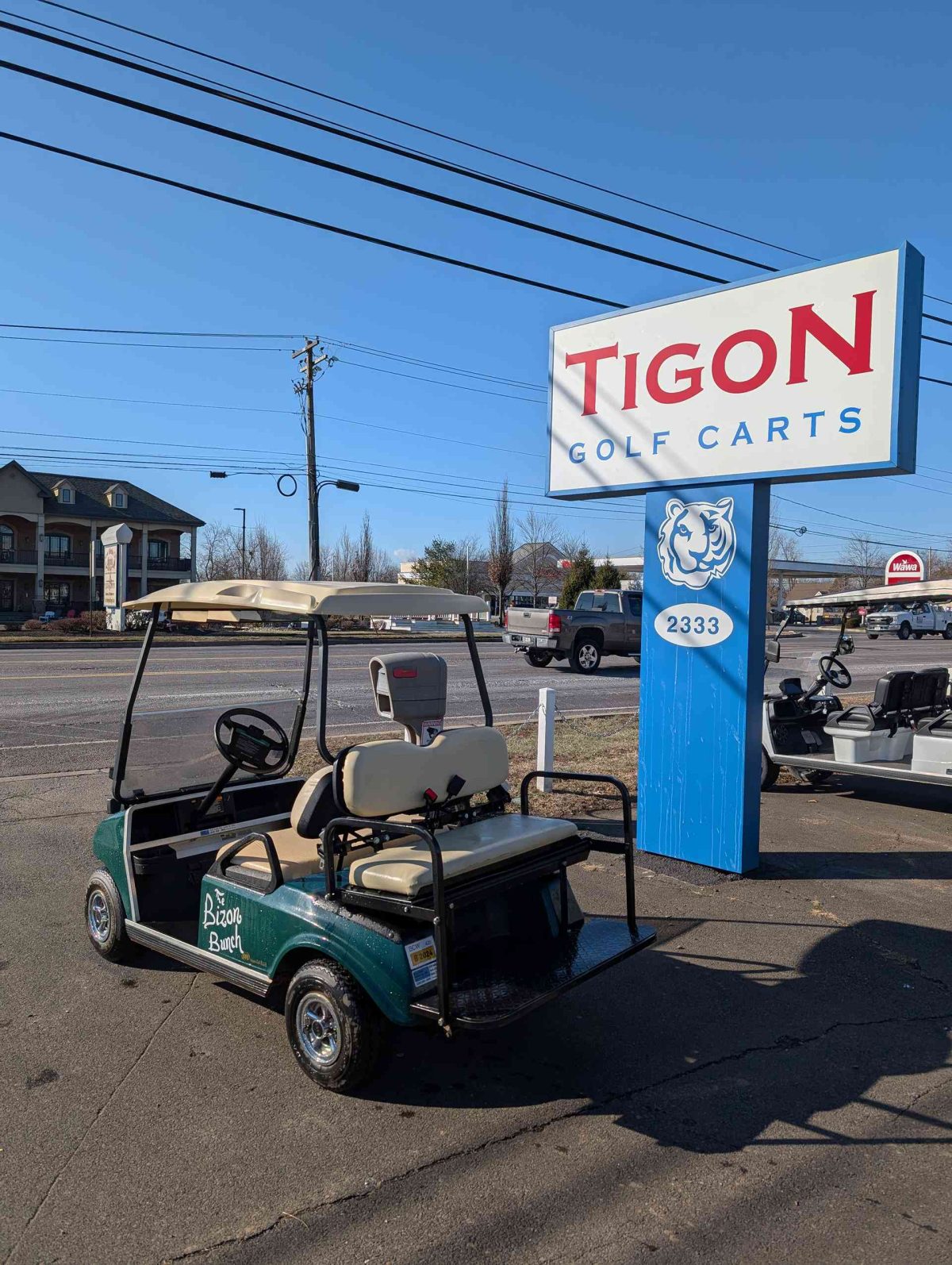 CLUB CAR® DS Green In Hatfield PA - Image 3