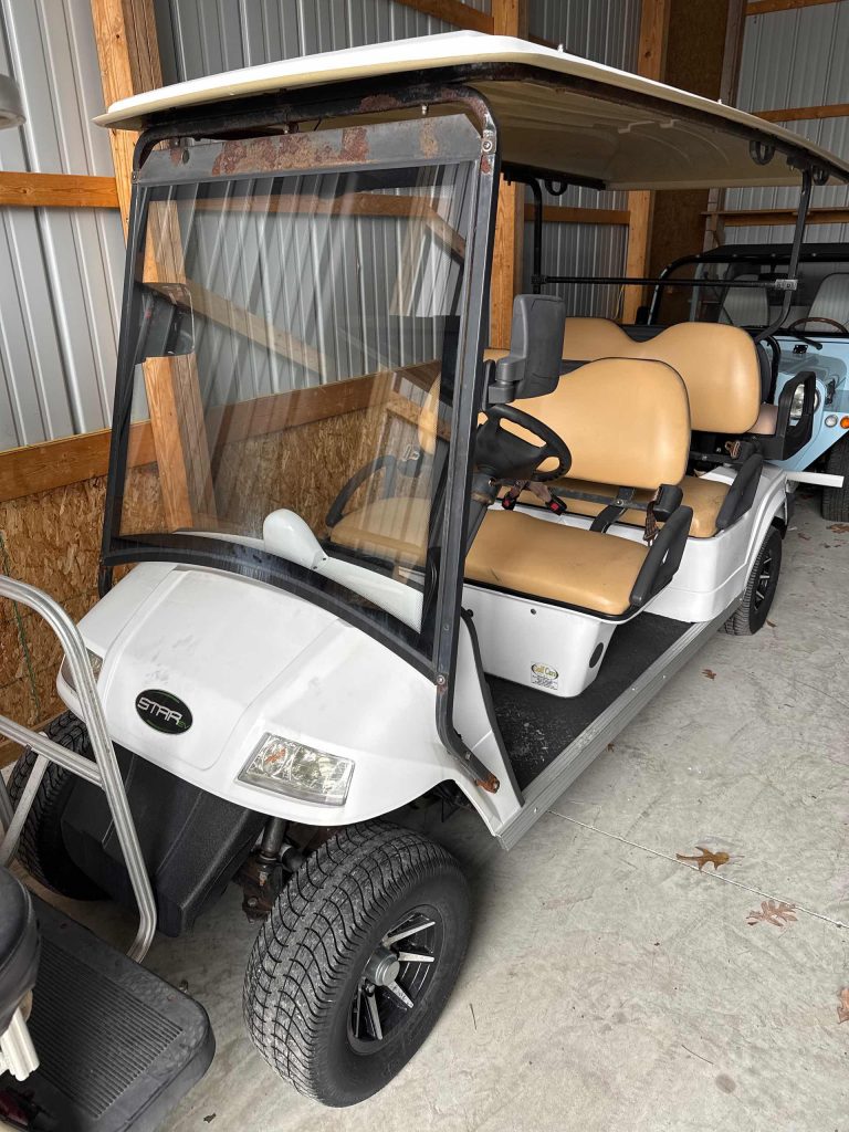 STAR EV® 6 PASSENGER WHITE In Ocean View NJ