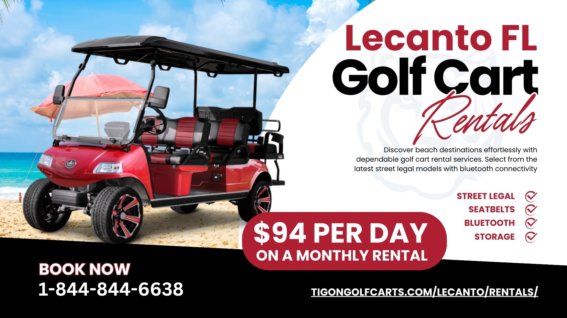 Lecanto Florida Golf Cart Rentals (2)