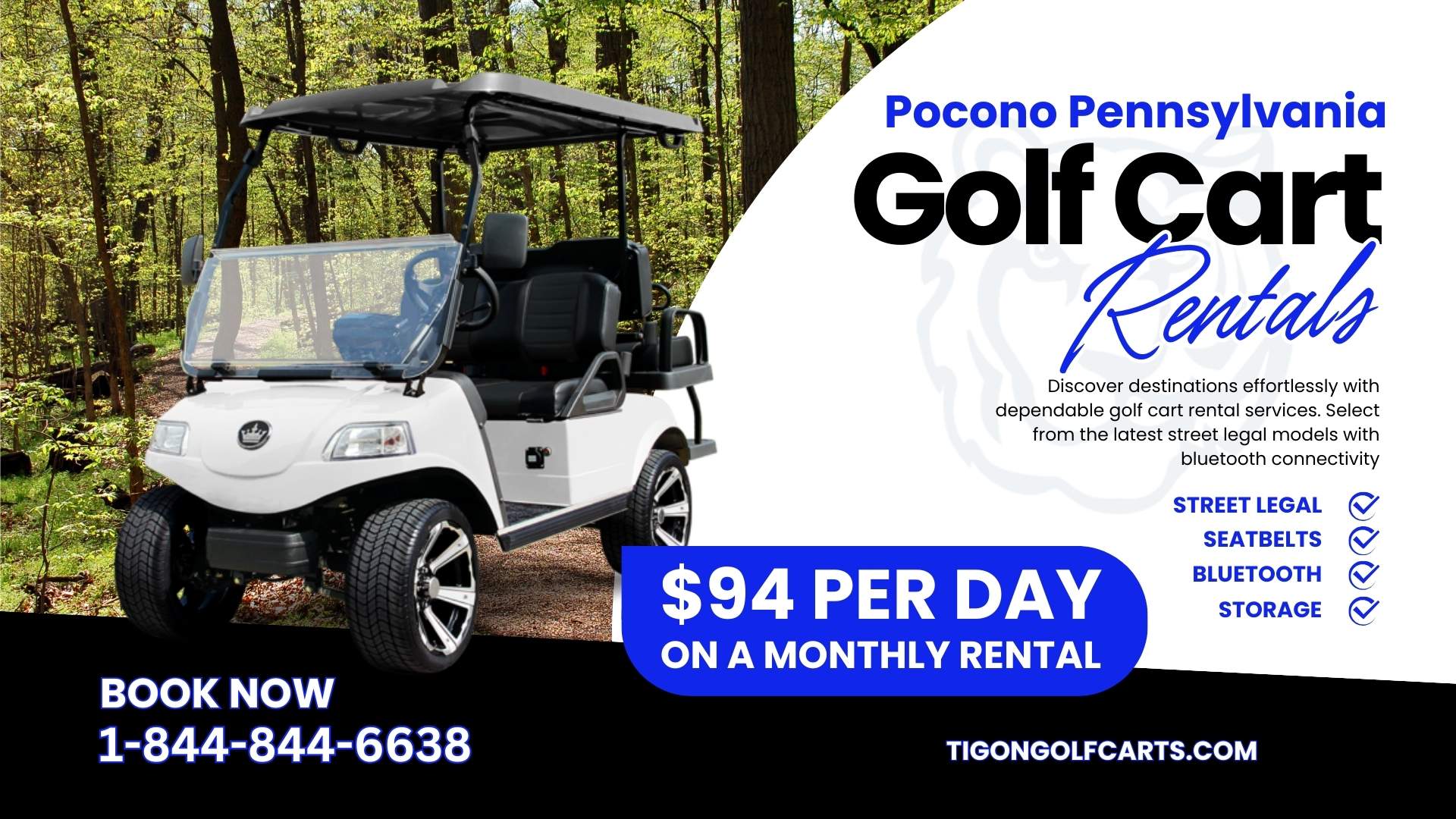 Pocono GOLF CART RENTAL