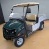 CLUB CAR® CARRYALL Green In Pocono Pines PA