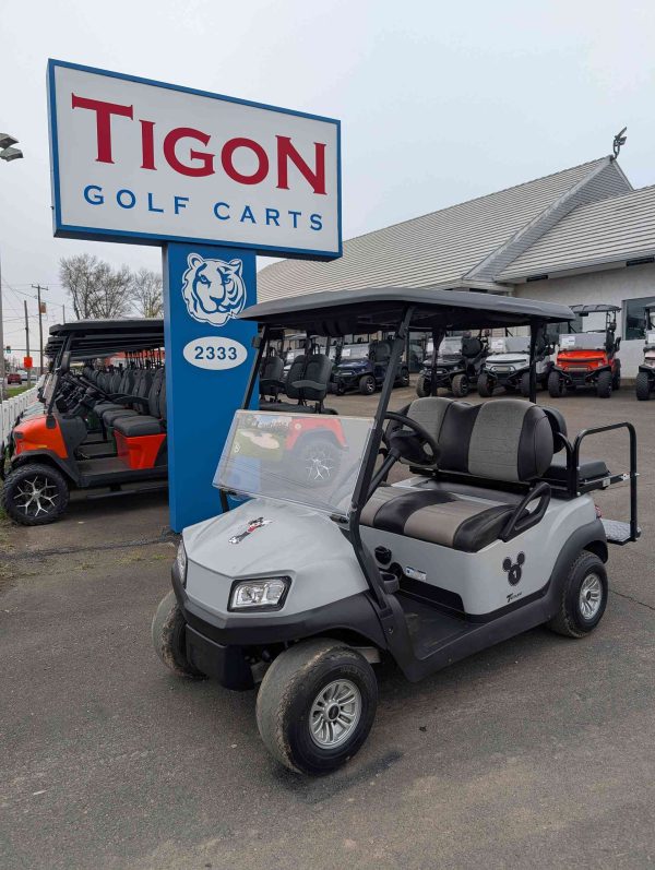 CLUB CAR® TEMPO Gray In Hatfield PA