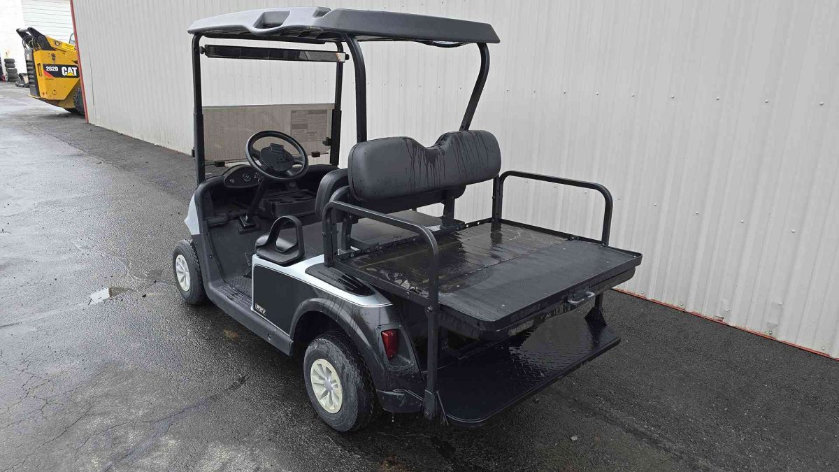 EZGO® RXV Silver In Scranton Wilkes-Barre PA