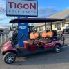 ICON® I60 Sangria In Ocean View NJ