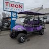 ICON® I60L Purple In Hatfield PA