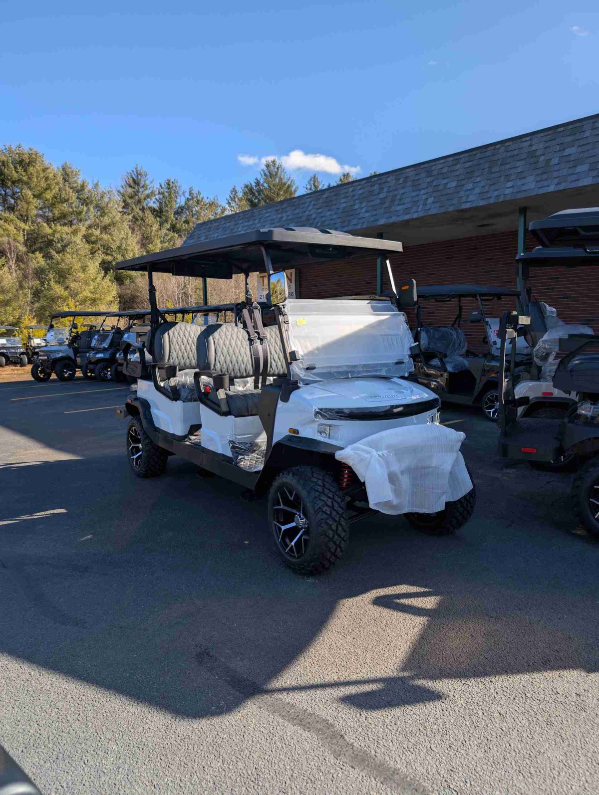 DENAGO® ROVER XL6 White In Pocono Pines PA