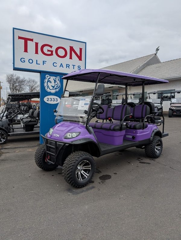 ICON® I60L Purple In Hatfield PA