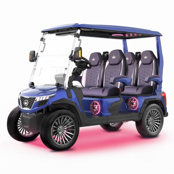 BLUE EVOLUTION® D6-MAX GT4