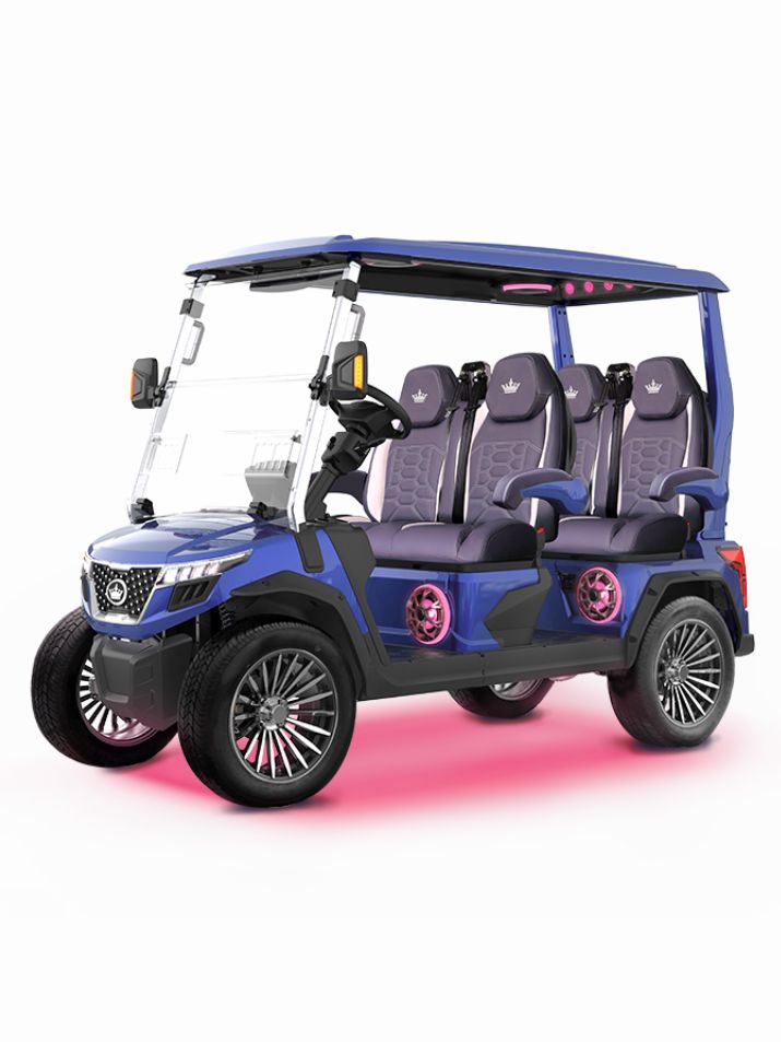 BLUE EVOLUTION® D6-MAX GT4