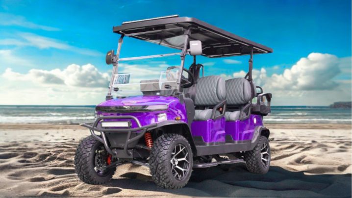 DENAGO EV Custom Paint Options – Best Deals, Services & Options Available