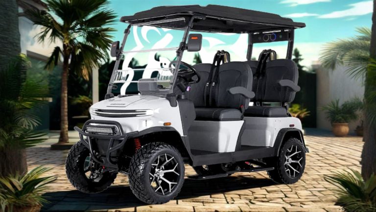 DENAGO EV Golf Cart Dealer Reviews – Best Deals Services & Options Available
