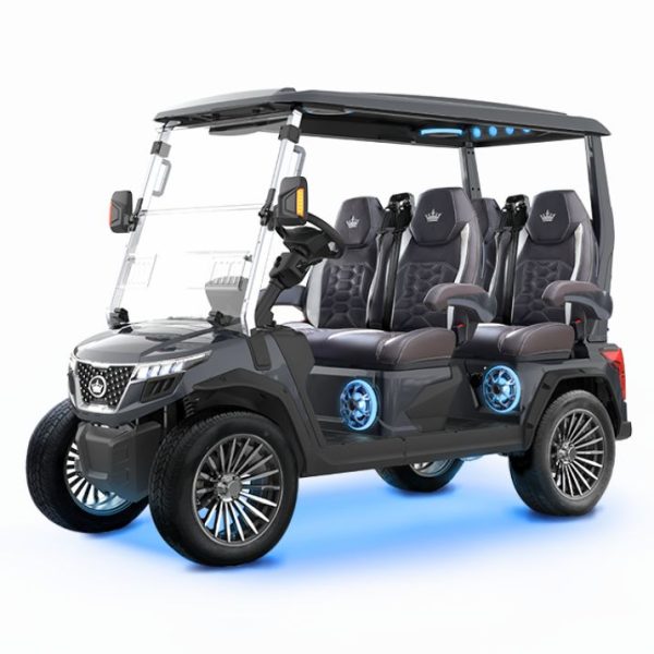 GRAY EVOLUTION® D6-MAX GT4