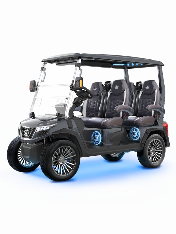 GRAY EVOLUTION® D6-MAX GT4