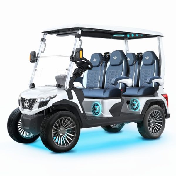 WHITE EVOLUTION® D6-MAX GT4