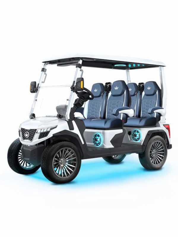 WHITE EVOLUTION® D6-MAX GT4