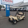 CLUB CAR® DS Beige In Hatfield PA
