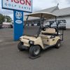 CLUB CAR® DS Beige In Hatfield PA