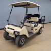 CLUB CAR® DS Beige In Pocono Pines PA