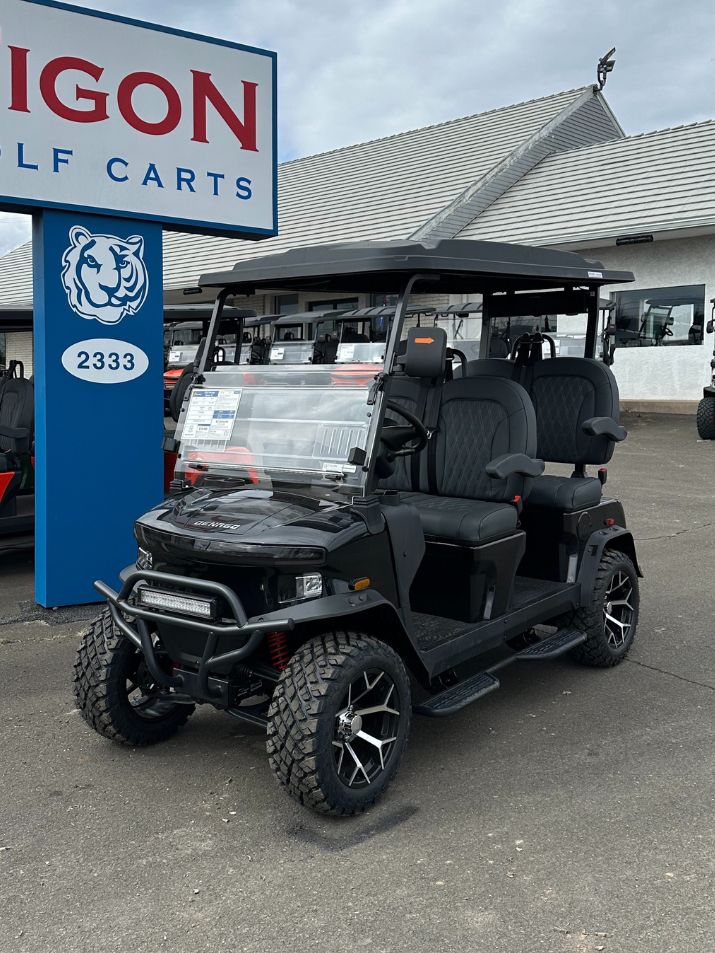 DENAGO® ROVER XL Black In Ocean View NJ