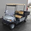 EZGO® CUSHMAN Silver In Scranton Wilkes-Barre PA