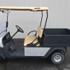 EZGO® CUSHMAN Silver In Scranton Wilkes-Barre PA