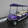 EZGO® GOLF CART Purple In Scranton Wilkes-Barre PA