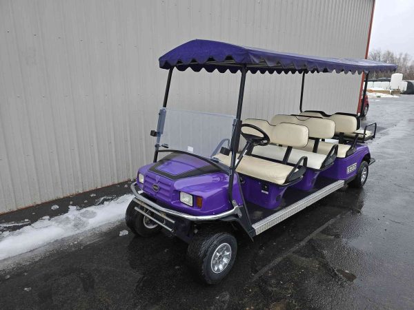 EZGO® GOLF CART Purple In Scranton Wilkes-Barre PA