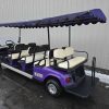 EZGO® GOLF CART Purple In Scranton Wilkes-Barre PA