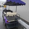 EZGO® GOLF CART Purple In Scranton Wilkes-Barre PA