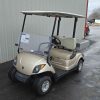 YAMAHA® DRIVE 2 Champane In Scranton Wilkes-Barre PA