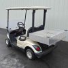 YAMAHA® DRIVE 2 Champane In Scranton Wilkes-Barre PA