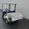YAMAHA® DRIVE 2 Champane In Scranton Wilkes-Barre PA