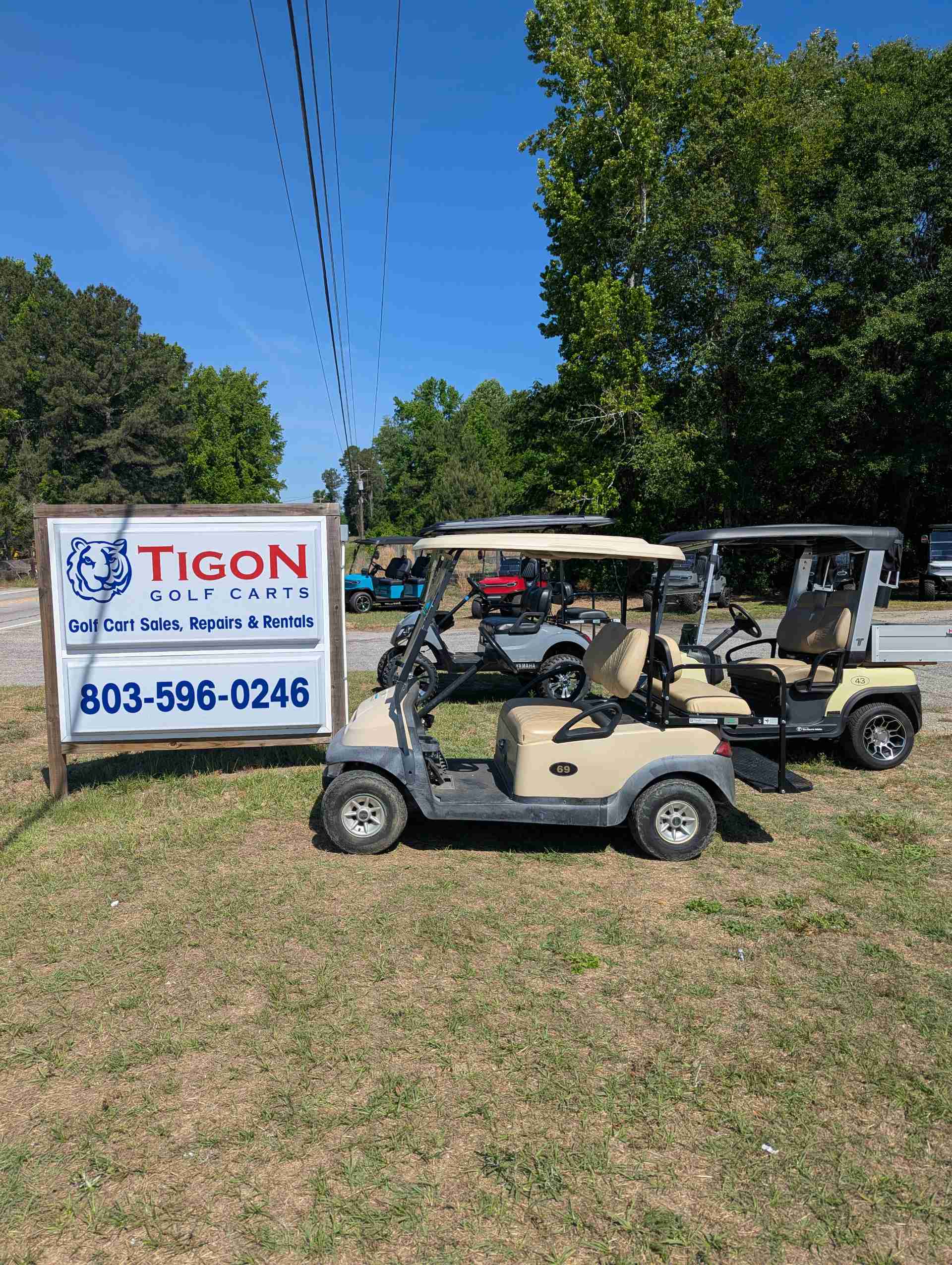 Club Car® Precedent Beige in Orangeburg, SC