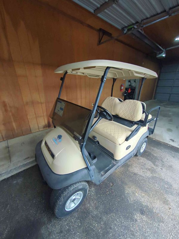 Club Car® Precedent Beige in South Bend, IN