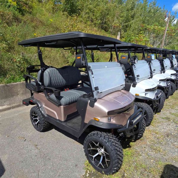 Denago® Nomad Xl Champagne in Scranton, PA