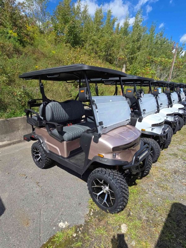 Denago® Nomad Xl Champagne in Scranton, PA