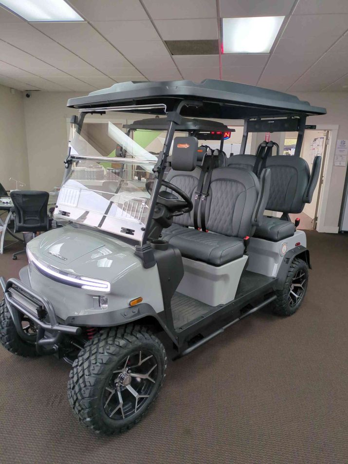 Denago® Rover Xl Gray in South Bend, IN