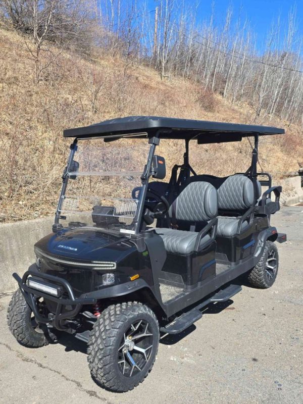 Denago® Rover Xl6 Black in Scranton, PA