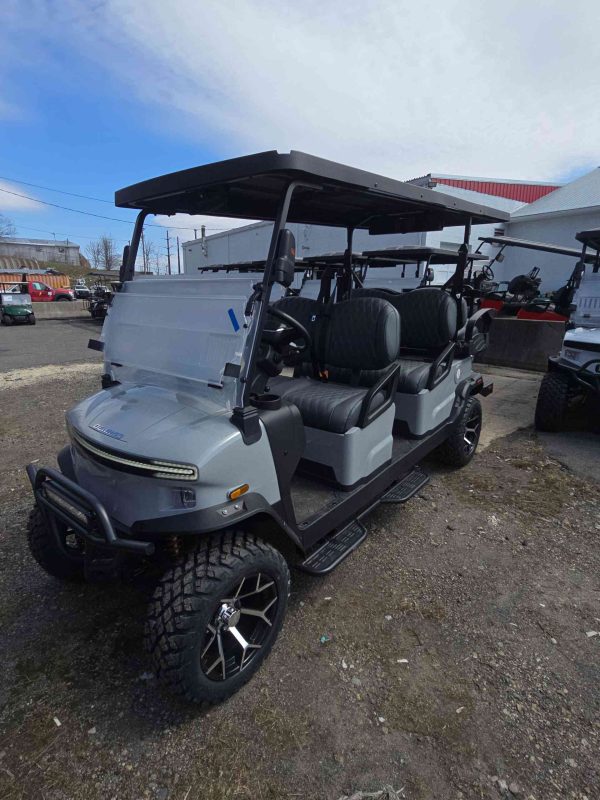 Denago® Rover Xl6 Gray in Scranton, PA