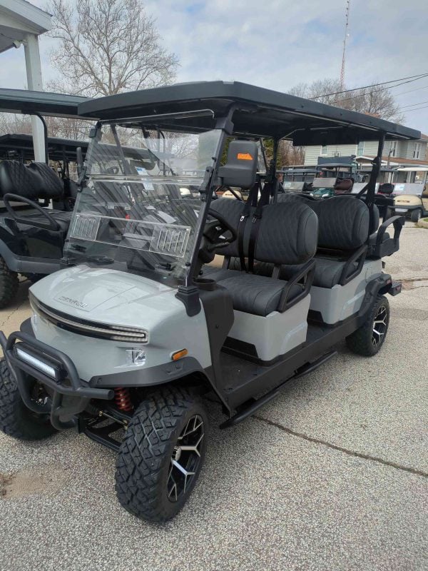 Denago® Rover Xl6 Gray in South Bend, IN