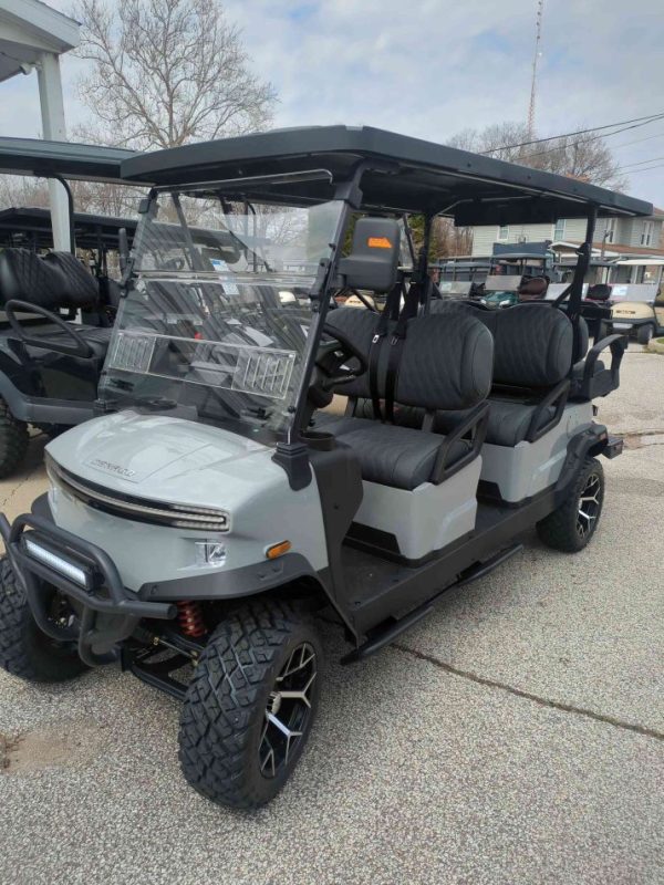 Denago® Rover Xl6 Gray in South Bend, IN