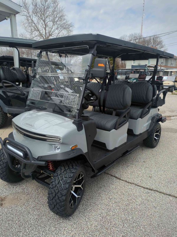 Denago® Rover Xl6 Gray in South Bend, IN