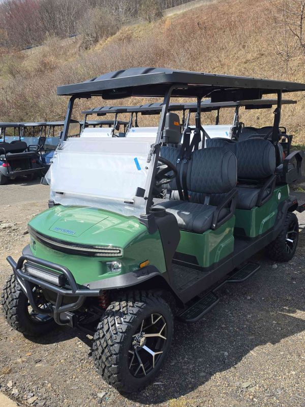 Denago® Rover Xl6 Verdant in Scranton, PA