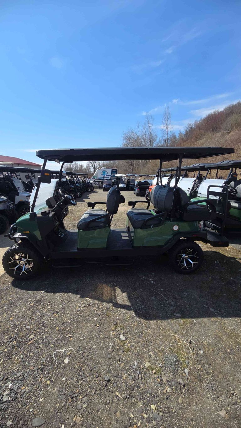 Denago® Rover Xl6 Verdant in Scranton, PA