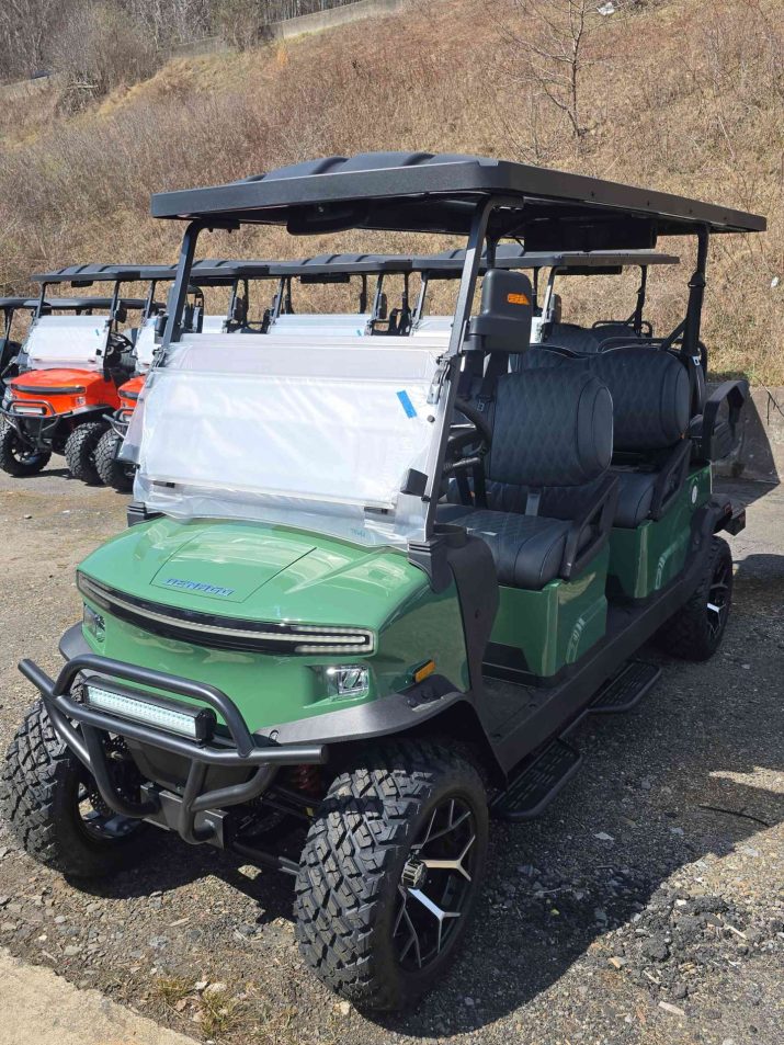 Denago® Rover Xl6 Verdant in Scranton, PA