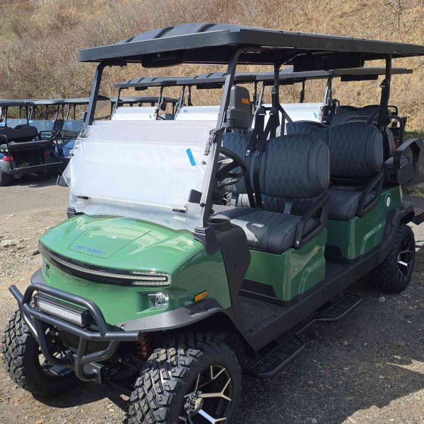 Denago® Rover Xl6 Verdant in Scranton, PA