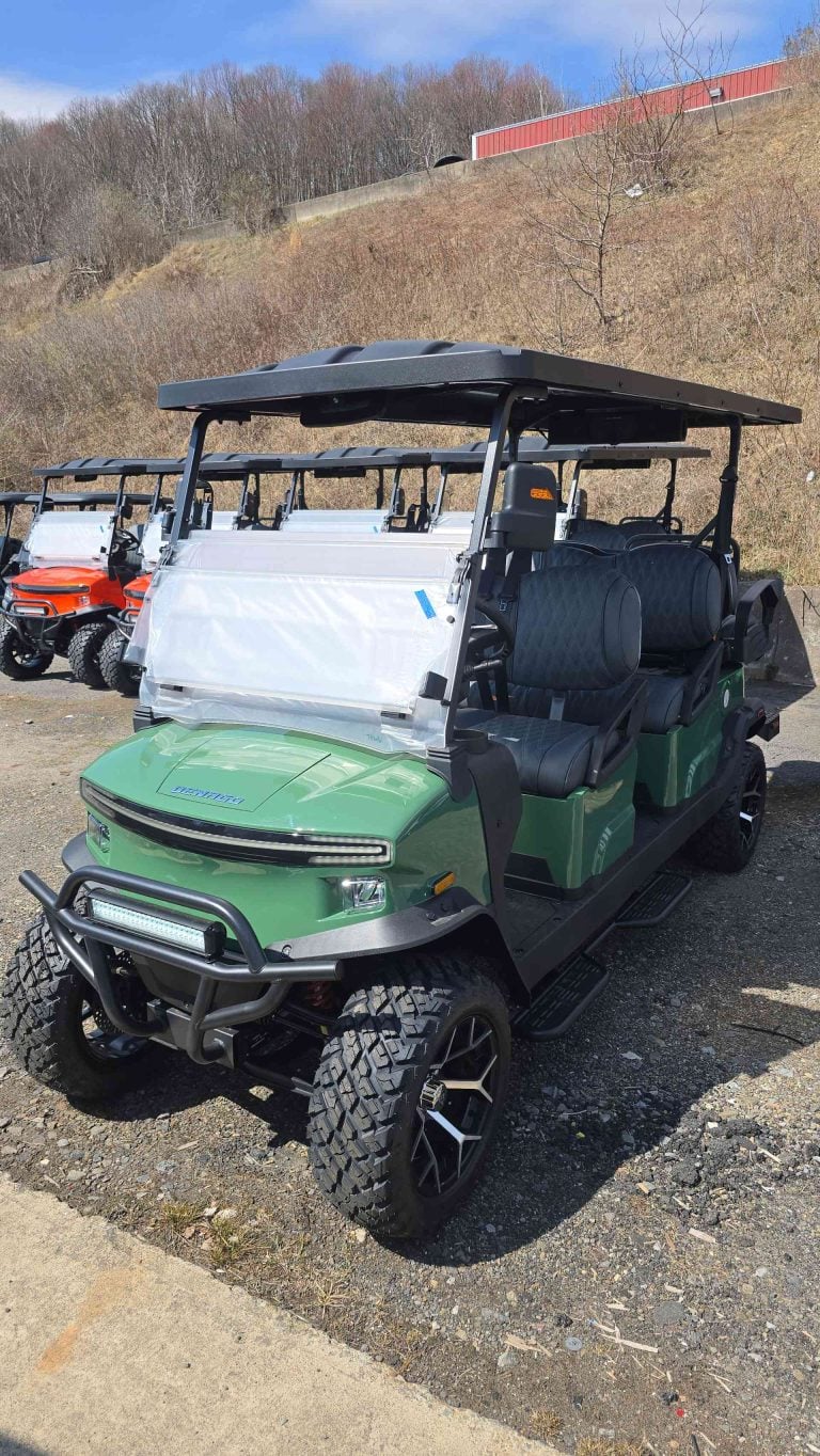 Denago® Rover Xl6 Verdant in Scranton, PA