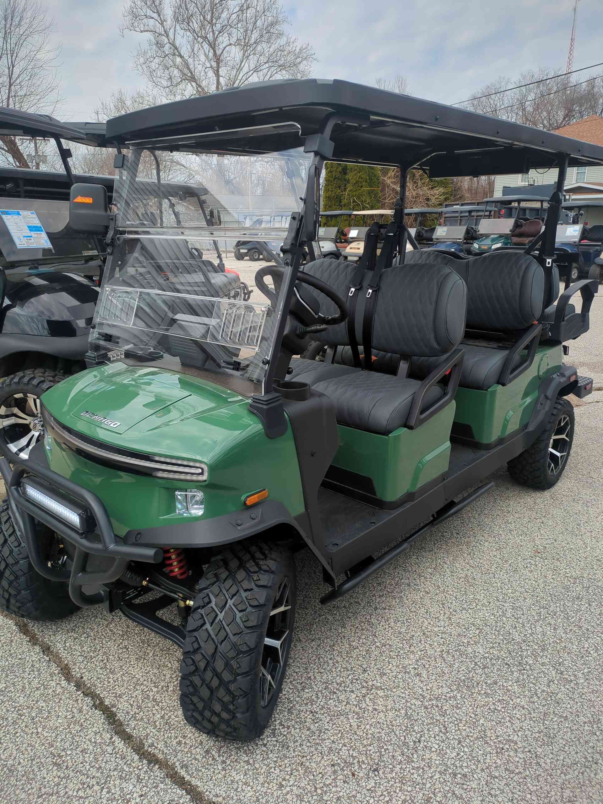 Denago® Rover Xl6 Verdant in South Bend, IN