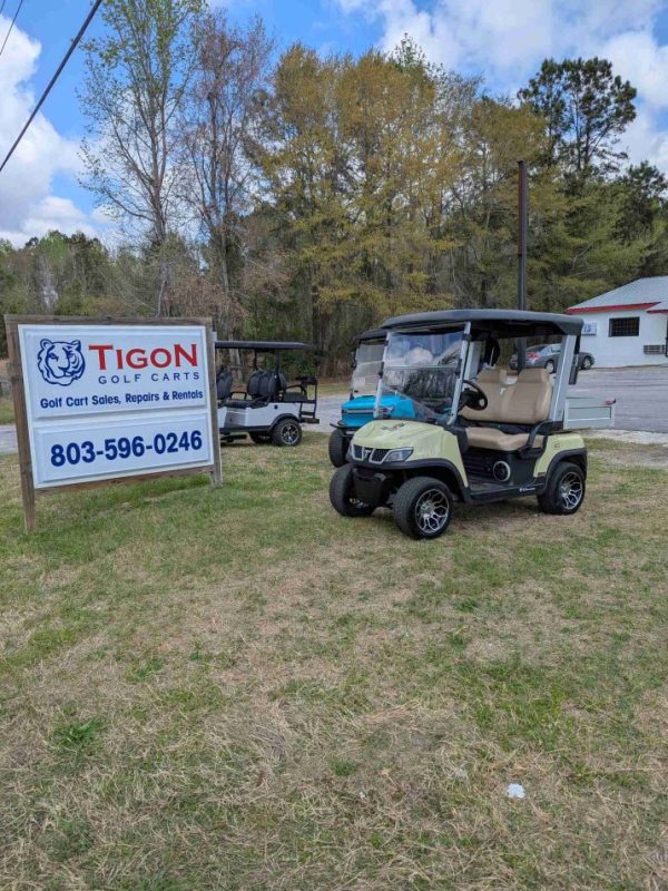 Tara® Spirit Plus Beige in Orangeburg, SC