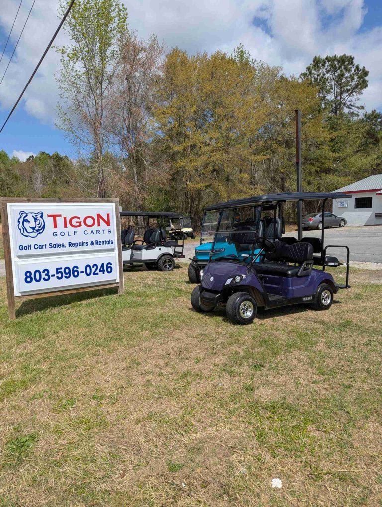 Yamaha® Drive 2 Purple in Orangeburg, SC